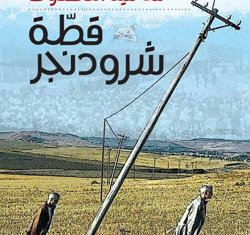 قطّة شرودنجر
