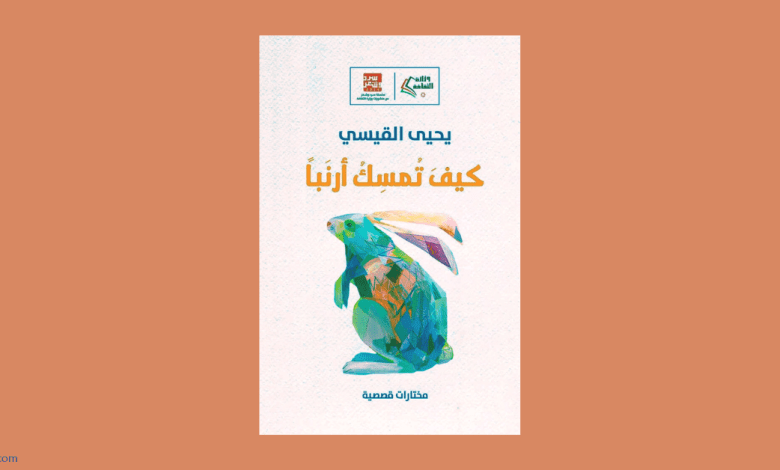 كيف تمسك أرنباً