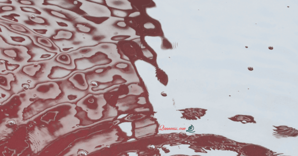 الدونكيشوتي الأخير