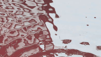 الدونكيشوتي الأخير