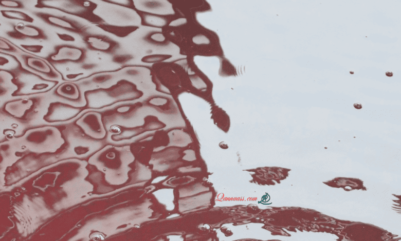 الدونكيشوتي الأخير