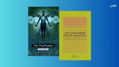 ما بعد الإنسانية